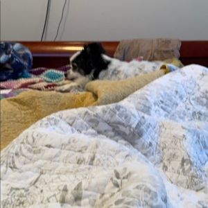 Meet your Posher, Ben